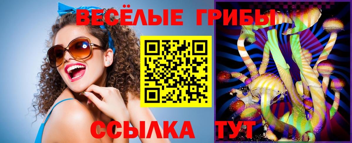 Псилоцибиновые грибы мицелий Амурск