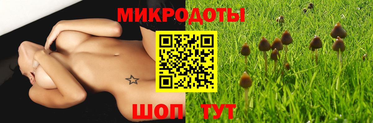 Псилоцибиновые грибы MAGIC MUSHROOMS  Псилоцибиновые грибы MAGIC MUSHROOMS  Амурск  Вход с VPN 