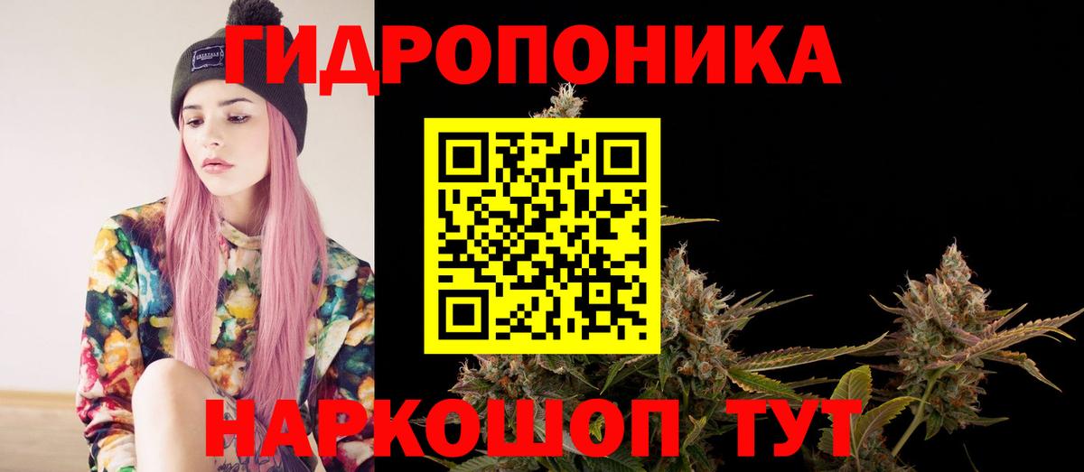 Конопля сатива Амурск